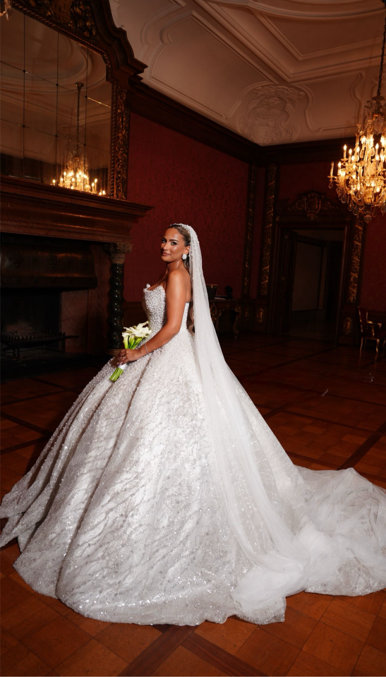 Sparkling Ballgown & Cathedral Veil